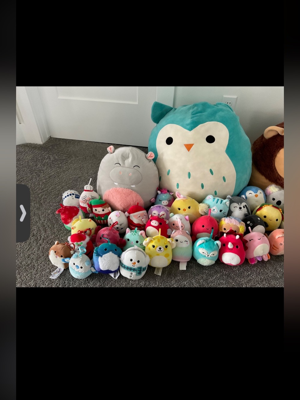 Large Teal Owl Plush with Colorful Squishmallows Collection
